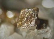 澳州钒业有限公司生产了一种高纯度的五氧化二钒