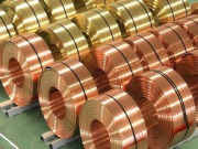 1月份智利铜产量下降0.7％