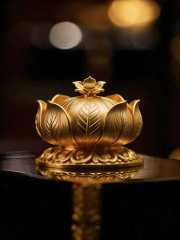 黄金白银价格下跌，因特朗普表示“不满”，推动油价及债券收益率上升