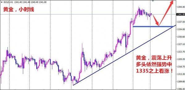 孙本伟：回调1335之上依然做多，黄金看涨1350阻力！