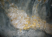 西澳普拉顿尼克钻探发现大型金矿