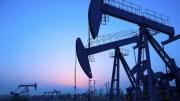 EIA原油库存将至三年半最低 OPEC预测明年需求破亿